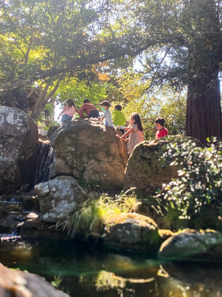 Campers climbing rocks beside a pond under the trees